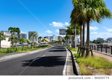 Row of palm trees near Okinawa Naha Port 96809774