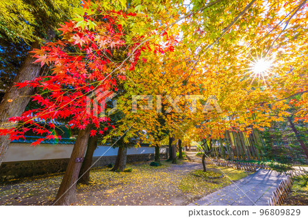 足利學校的秋天 96809829