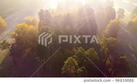 Flying over the trees with yellow leaves in a meadow in the park or forest on a sunny autumn morning. Aerial drone view. Bright sunlight, sunbeams,overexposure. Top view. Beautiful natural background Flying over the trees with yellow leaves in a meadow in the park or forest on a sunny autumn morning. Aerial drone view. Bright sunlight, sunbeams,overexposure. Top view. Beautiful natural background 96810088