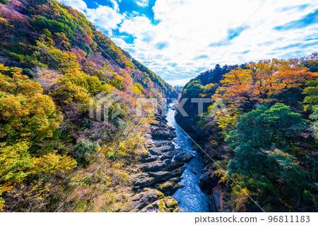 Takatsuto峽谷秋葉 96811183