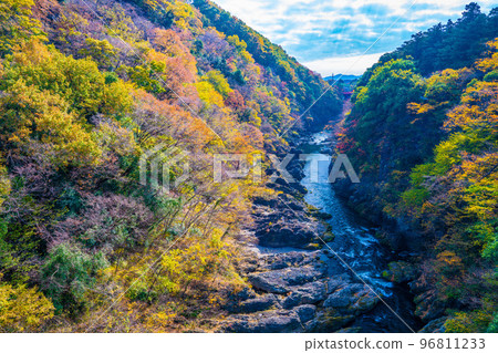 Takatsuto峽谷秋葉 96811233