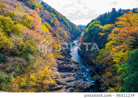 Autumn leaves of Takatsuto Gorge Autumn leaves of Takatsuto Gorge 96811234
