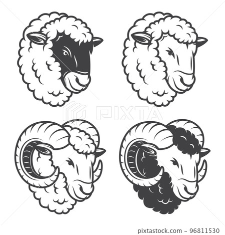 Vector illustration of 4 sheeps and rams heads. Vector illustration of 4 sheeps and rams heads. 96811530