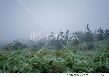 Towada Hachimantai Towada Hachimantai 96811579