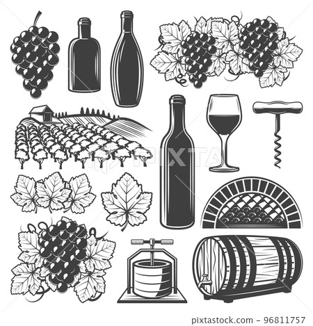 Vintage Wine Elements Set Vintage Wine Elements Set 96811757