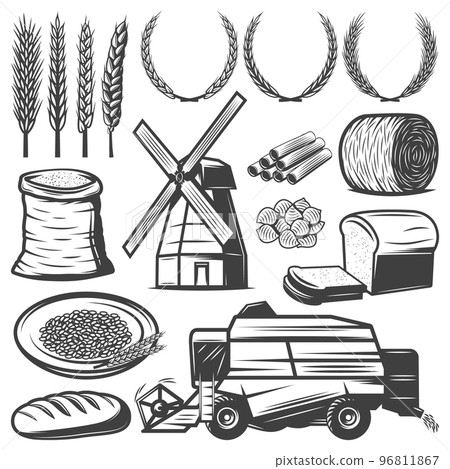 Vintage Agriculture Elements Set 96811867