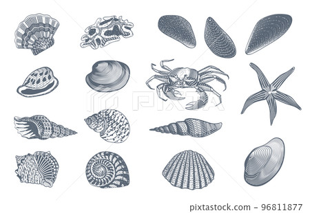 Sketch Ocean Nature Set Sketch Ocean Nature Set 96811877