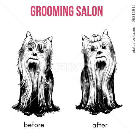 Beauty Dog Salon Template 96811913