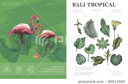 Sketch Tropical Bali Concept 96811994