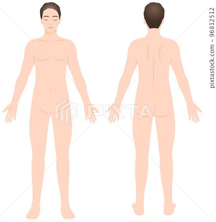 Male nude whole body figure Front and back illustration Hair removal / Esthetic / Diet Male nude whole body figure Front and back illustration Hair removal / Esthetic / Diet 96812512