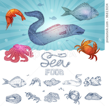 Seafood Hand Drawn Concept Seafood Hand Drawn Concept 96813034