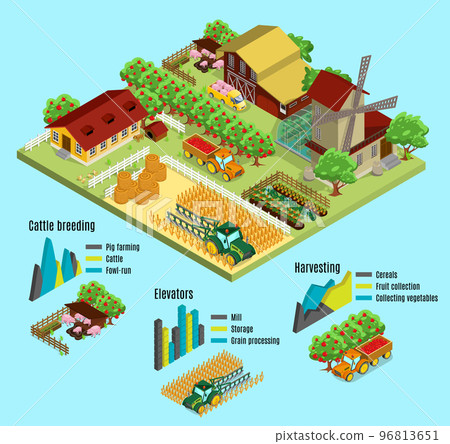 Isometric Farm Infographic Concept 96813651