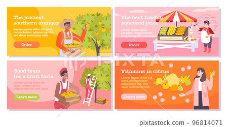 Citrus Flat Banners Set 96814071