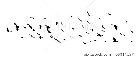 A flock of flying birds. Free birds. Vector illustration 96814157