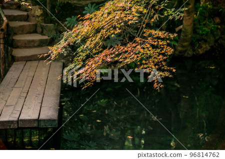 Kyoto Nanzenji Tenjuan beautiful autumn leaves and garden 96814762