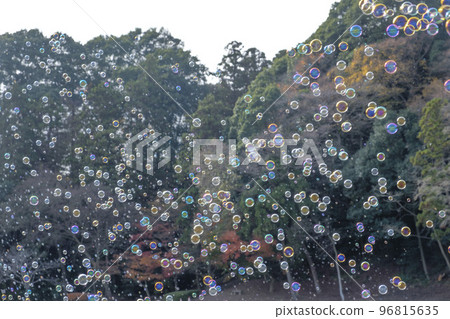 肥皂泡飛了起來 肥皂泡飛了起來 96815635