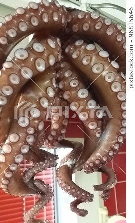 Boil the legs of the octopus lightly and hang them up so that they stretch out nicely. 96815646