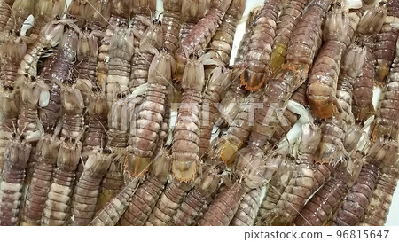 Mantis shrimp / Delicious seafood from Osaka Bay! Mantis shrimp / Delicious seafood from Osaka Bay! 96815647