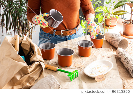 Woman is planting seedlings at home 96815890