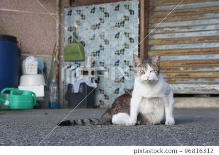 relaxing now 96816312