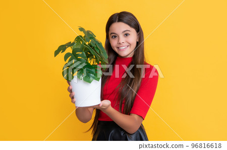 kid smile with monstera in pot on yellow background 96816618