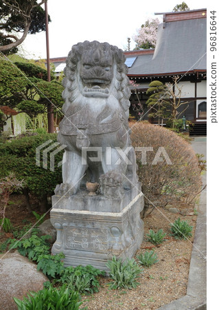 充滿神秘色彩的神使靈獸，它的名字叫駒奴！寒禪寺 96816644