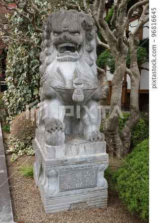 God's messenger spiritual beast full of mysteries, its name is Komainu! Hanjoin Temple 96816645
