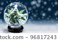 Cannabis banner. Merry Christmas and Happy New Year card with hemp in snow globe with snow 96817243