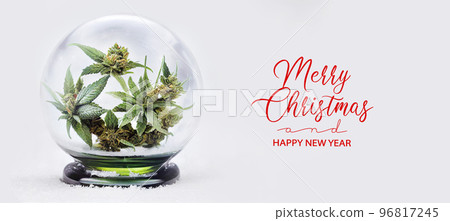 Cannabis banner. Merry Christmas and Happy New Year card with hemp in snow globe with snow 96817245