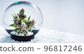 Cannabis banner. Merry Christmas and Happy New Year card with hemp in snow globe with snow 96817246