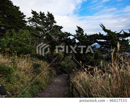 Jogasaki coast in winter Jogasaki coast in winter 96817533