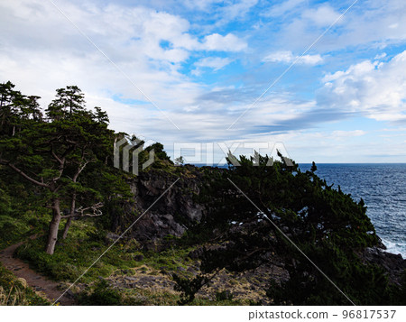 冬天的城崎海岸 冬天的城崎海岸 96817537