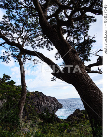 冬天的城崎海岸 冬天的城崎海岸 96817549