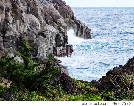 冬天的城崎海岸 冬天的城崎海岸 96817550