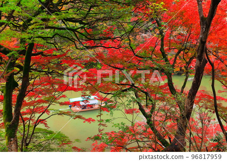 [京都]嵐山的紅葉（桂川上的Rankyo Hozukyo） 96817959