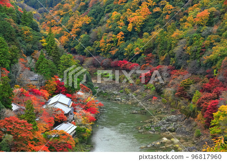 [京都府]保津川賞紅葉（嵐山桂川蘭橋） 96817960