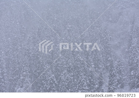 snow snow 96819723