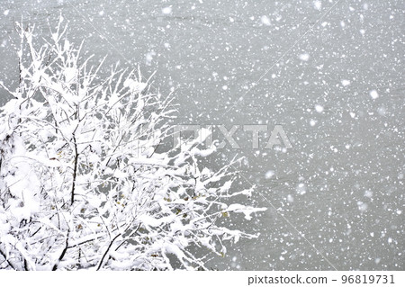 snow          96819731