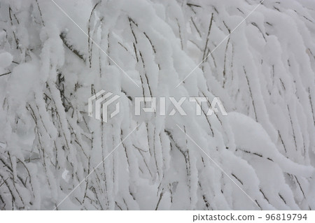 雪地 雪地 96819794