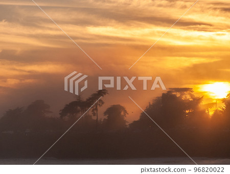 Tropical trees against a setting sun 96820022