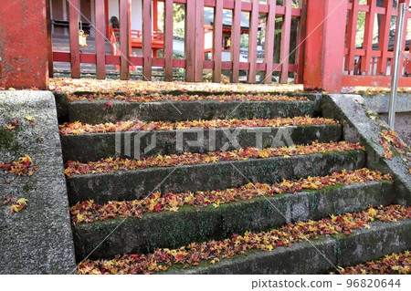 Autumn leaves of Nara Park Autumn leaves of Nara Park 96820644