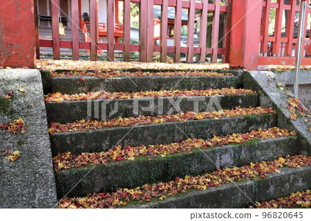 Autumn leaves of Nara Park Autumn leaves of Nara Park 96820645