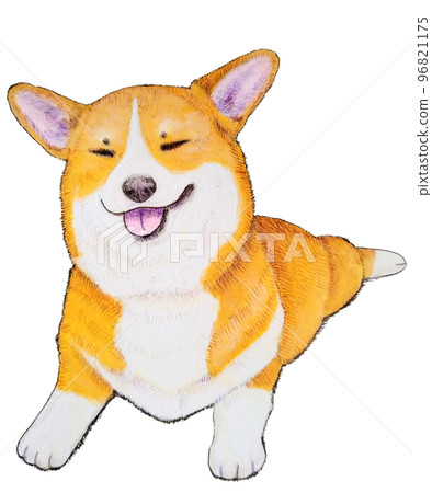 Squinting corgi pen drawing Squinting corgi pen drawing 96821175