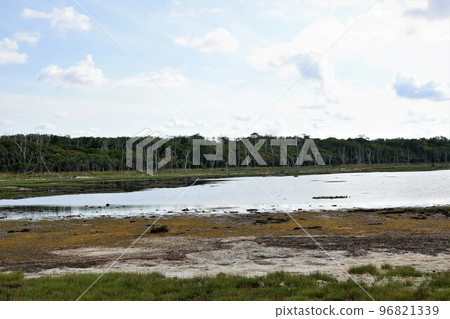 野付半島奈良原的風景 野付半島奈良原的風景 96821339