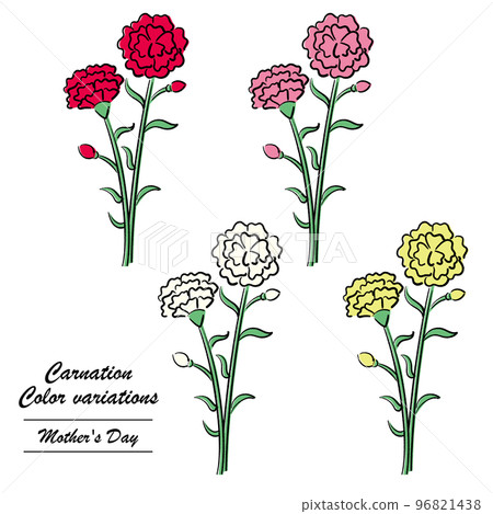康乃馨（變色） 96821438