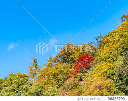 Autumn scenery Beautiful foliage of Hikawa leading to Daibosatsurei 96822793