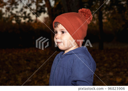 A boy of 3 years in an orange hat and a blue jacket walks in the autumn forest and looks away. A boy of 3 years in an orange hat and a blue jacket walks in the autumn forest and looks away. 96823906