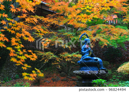 [香川縣] 貓寺的秋葉（第 82 屆 Fudasho） 96824494