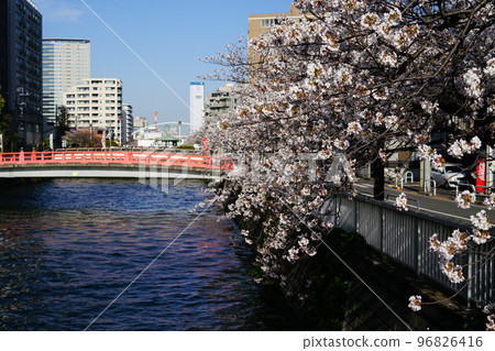 Skyscrapers and cherry blossoms in Tokyo Skyscrapers and cherry blossoms in Tokyo 96826416