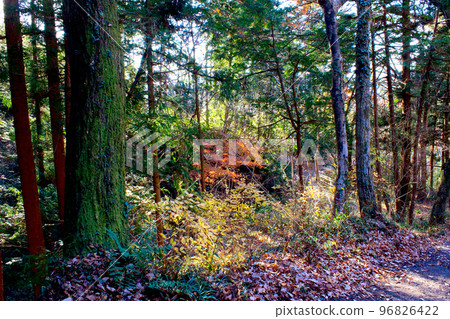 [Saitama] Chichibu in winter, the great nature around Wado Kaichin Monument 96826422
